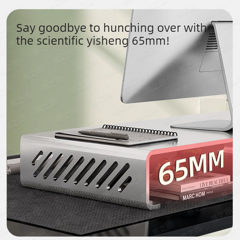 Computer Monitor Stand Riser E - Desk Setup With Laptop And Monitor บทวิจารณ์และราคา