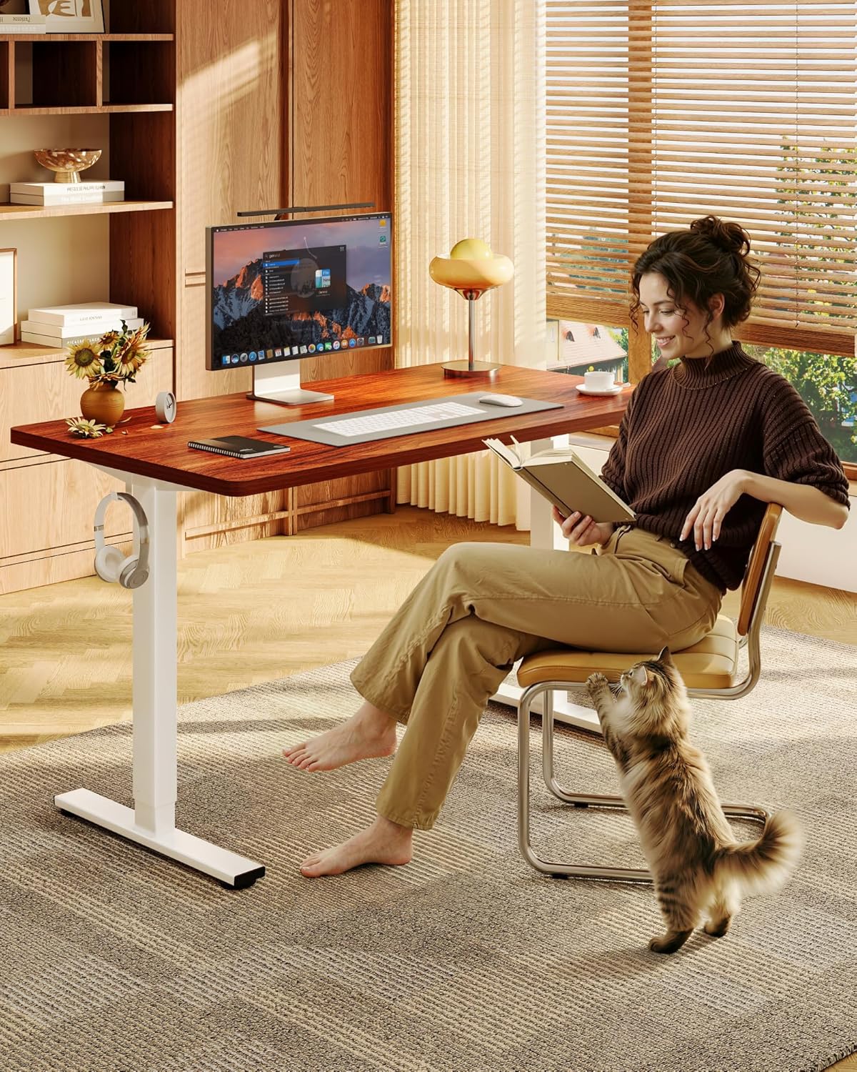 Electric Height-Adjustable Sta - Desk Setup One Monitor บทวิจารณ์และราคา