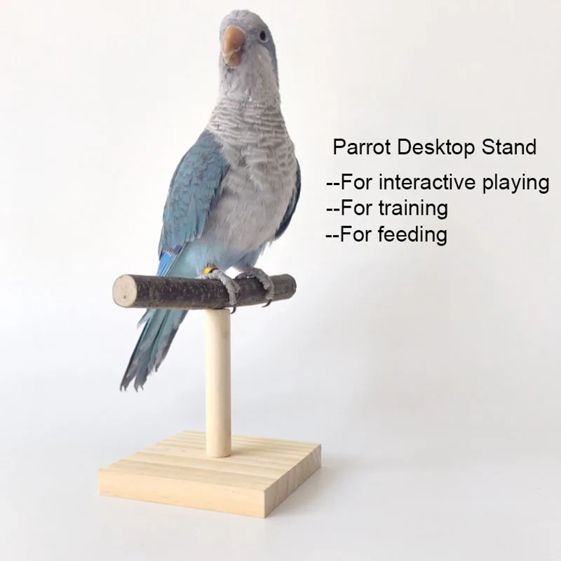 Natural Desktop Stand Pet Parr - Desk Setup Wood บทวิจารณ์และราคา