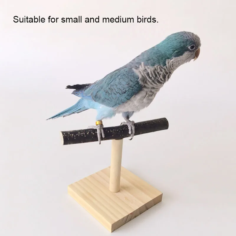 Natural Desktop Stand Pet Parr - Desk Setup Wood บทวิจารณ์และราคา