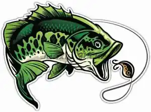 Perch Fishing Stickers Window  - Desk Setup Maker บทวิจารณ์และราคา