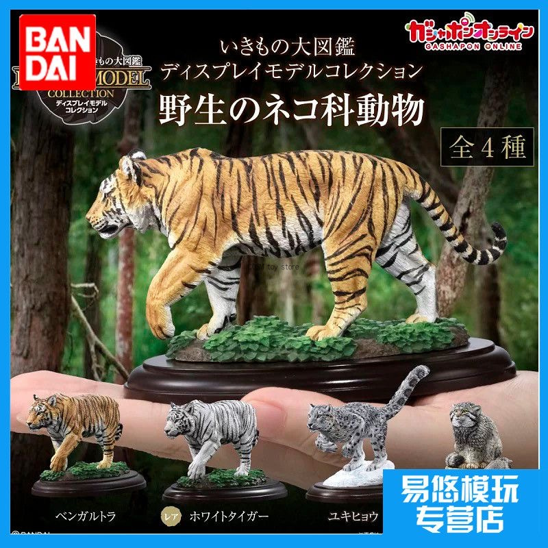 Bandai Realistic Tiger Statue  - Desk Setup Productivity บทวิจารณ์และราคา
